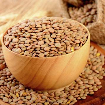 Soczewica zielona 500g BIO